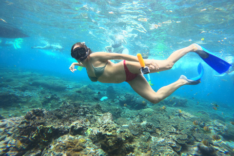 Vanuit Bali: Snorkelen bij Manta Point Nusa Penida &amp; Land TourSnorkelen en West Land Tour (Trefpunt - Sanur Haven)