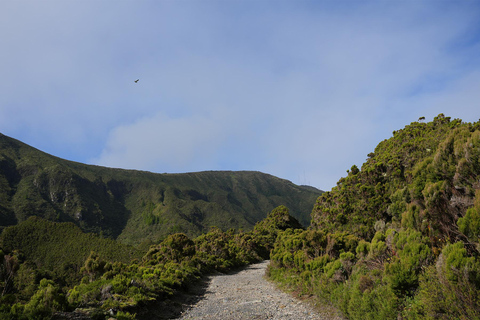 Azory: wycieczka piesza São Miguel i Lagoa do Fogo