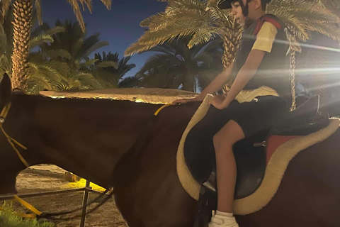 AlUla: Hegra & Elephant Rock Guided Family Experience
