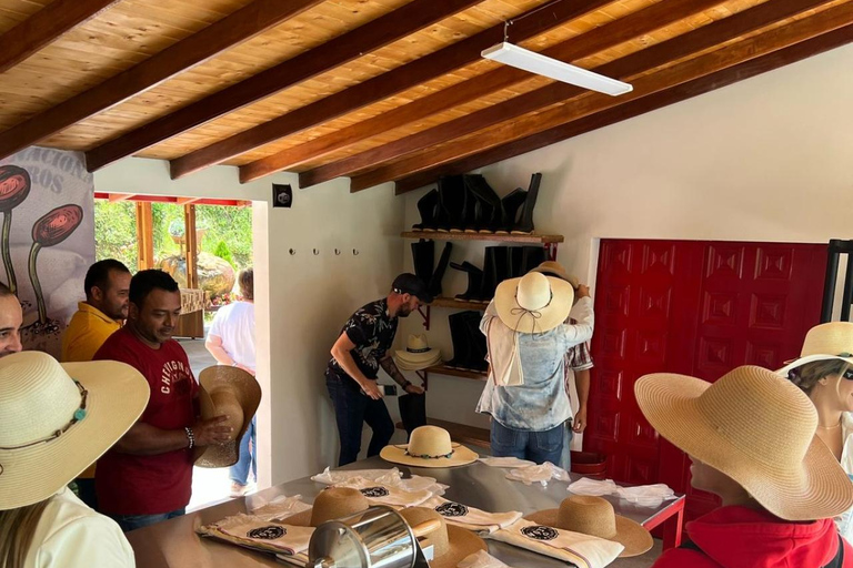 Medellín : Tournée des cafés dans les montagnes