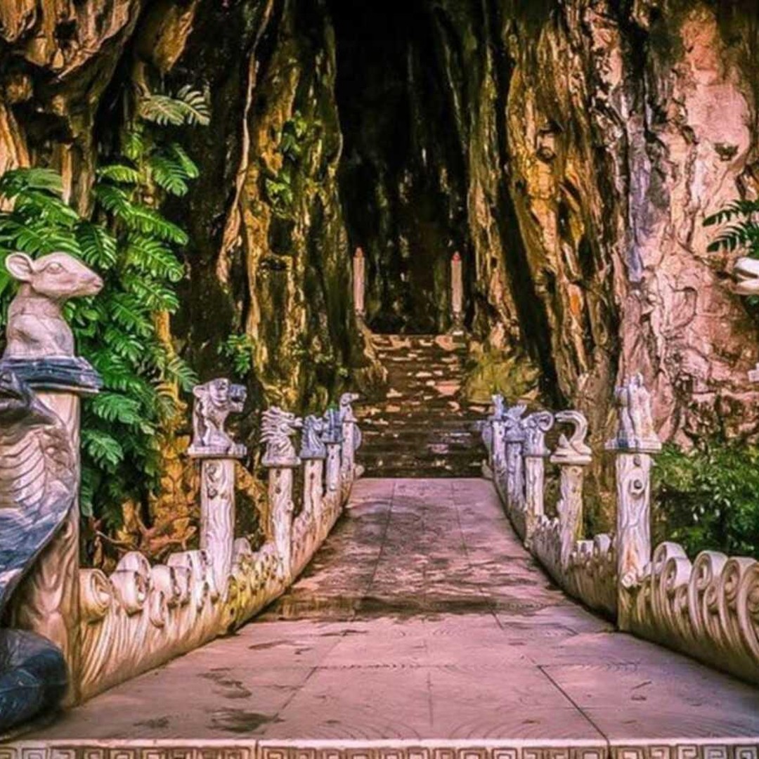 Galería de fotos para redes