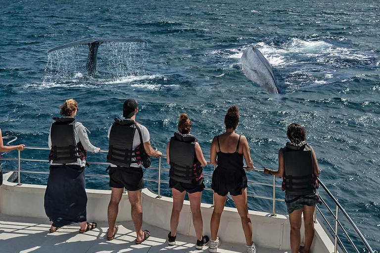 Från Colombo/Bentota/Galle till Whale Watching Mirissa Daytour