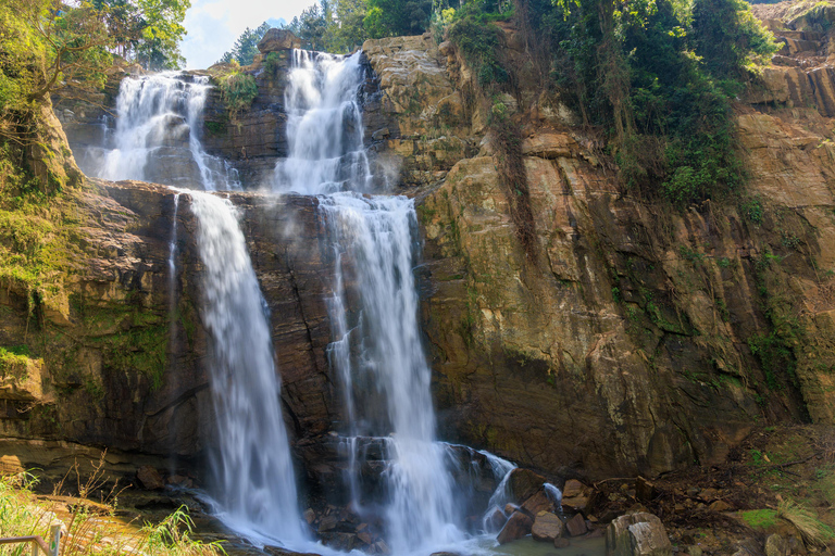 Ambewela to Kandy Scenic Highlands Tour via Nuwara Eliya
