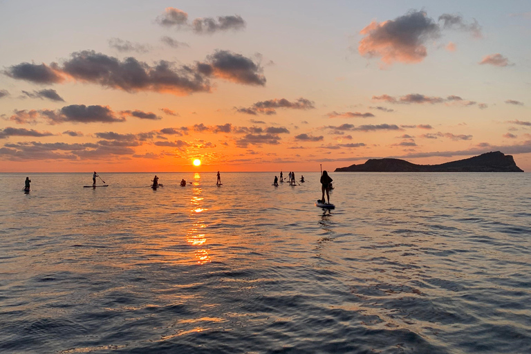 Ibiza: Paddle Board Zonsondergang Tour