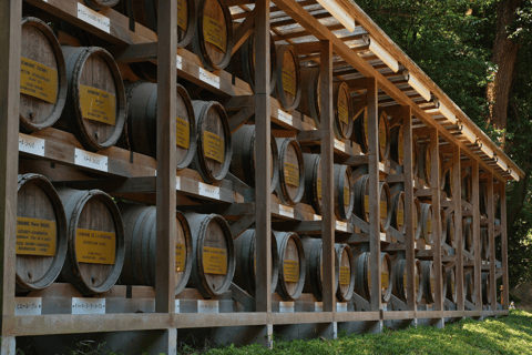 Tokio: wandeltour langs de hoogtepunten van Harajuku en Meiji JinguTijdreizen in Tokio: popcultuur in Harajuku en het Meiji Jingu-heiligdom