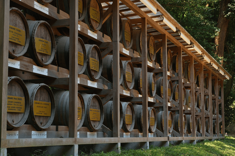 Tokio: wandeltour langs de hoogtepunten van Harajuku en Meiji JinguTijdreizen in Tokio: popcultuur in Harajuku en het Meiji Jingu-heiligdom