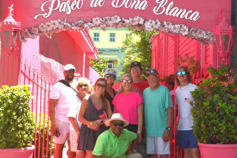 Puerto Plata: Monkey home, Damajagua Waterfalls & City Tour