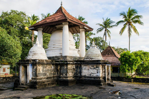 Z Kolombo: Kandy i Pinnawala - wycieczka 1-dniowa