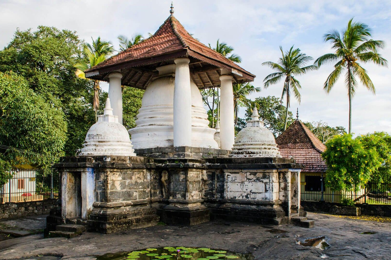 Z Kolombo: Kandy i Pinnawala - wycieczka 1-dniowa