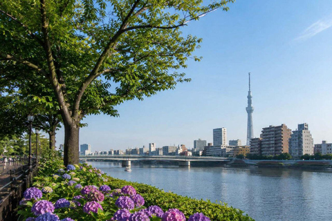 Tokyo: Asakusa Heritage Walk, Skytree & Sumida with Lunch