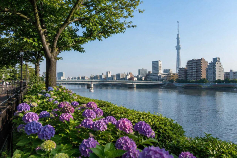Tokyo: Asakusa Heritage Walk, Skytree & Sumida with Lunch