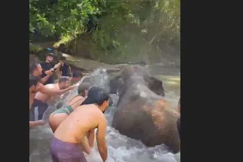 Bali: Elephant Mud Fun Activity