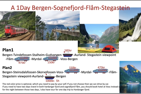Flexible tour From Bergen to Flåm and stegastein viewpoint Flexible tour to Flåm and stegastein viewpoint