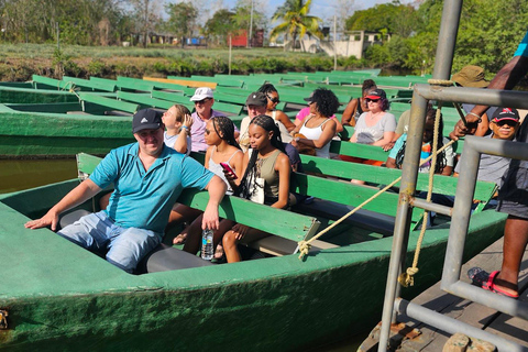 Trinidad: excursión de un día para observar aves con Yerette y CaroniTrinidad: Excursión de un día para observar aves con Yerette y Caroni