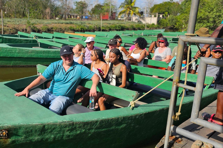 Trinidad: excursión de un día para observar aves con Yerette y CaroniTrinidad: Excursión de un día para observar aves con Yerette y Caroni