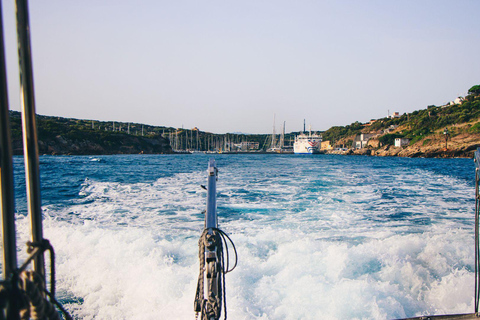 Santa Teresa: Speedboottocht rond Lavezzi en Piana-eiland