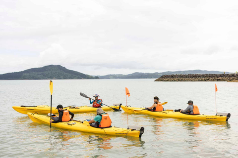 Excursão ao campo vulcânico de Auckland