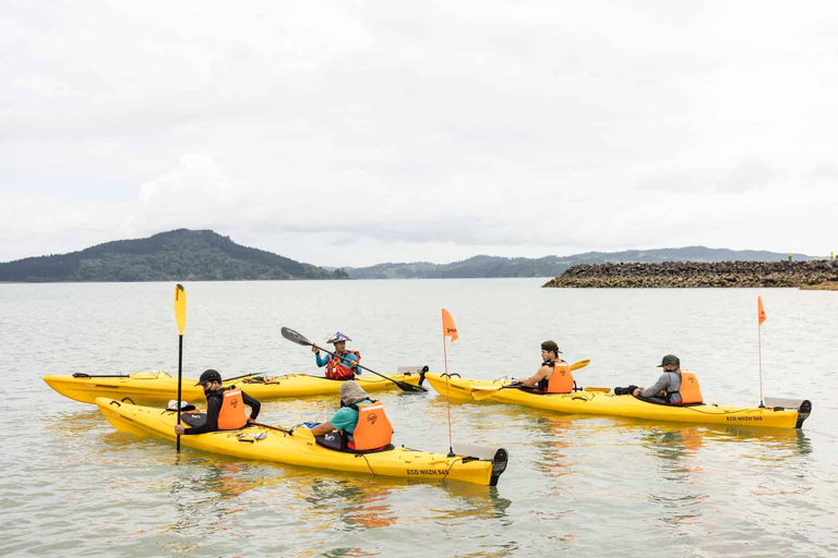 Excursión al Campo Volcánico de Auckland