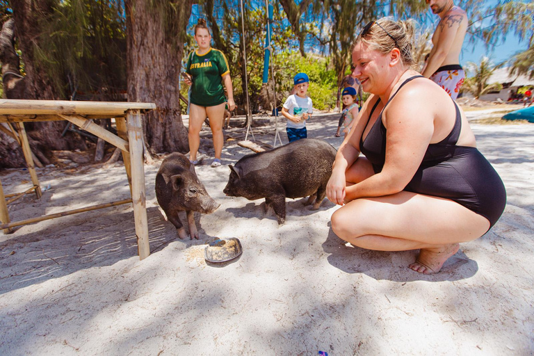 Koh Samui Explorer: Det ultimata vattenskoteräventyret3 timmar vattenskoter