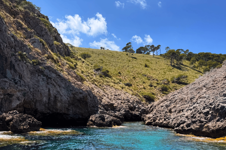 ألكوديا: رحلة بحرية وقت الغروب مع تذوق النبيذ والجبن
