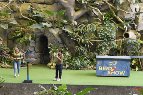 Cebu Safari: Experience Wildlife Up Close