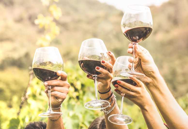 Ciudad del Cabo: Tour de día completo de cata de vinos con Tranvía del Vino