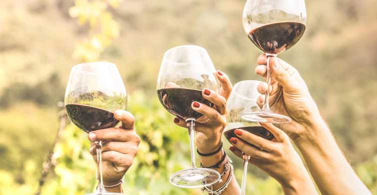 Ciudad del Cabo: Tour de día completo de cata de vinos con Tranvía del Vino