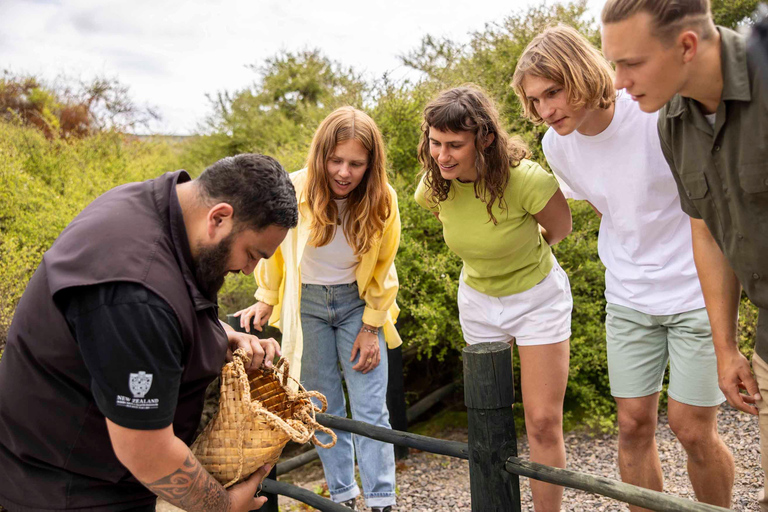 Rotorua: Tour durch das geothermische Tal Te Puia mit kultureller ShowRotorua: Tour durch das geothermische Tal Te Puia mit Kulturshow