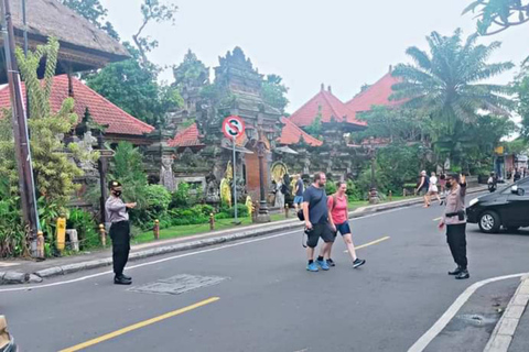 Tour privato della foresta delle scimmie di Ubud, dei campi di riso e dell&#039;altalena feliceTour privato di Ubud (biglietto d&#039;ingresso non incluso)