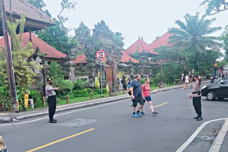 Tour privato della foresta delle scimmie di Ubud, dei campi di riso e dell&#039;altalena feliceTour privato di Ubud (biglietto d&#039;ingresso non incluso)