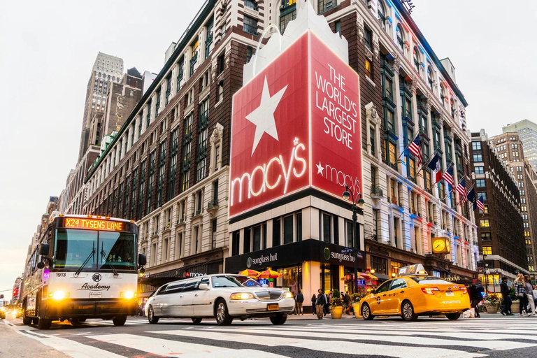 New York City Private Tour Most Famous Places in NYC