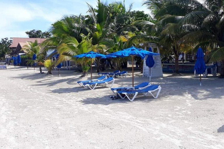 Vanuit Montego Bay: 7 Mile Beach en Rick&#039;s Café Klifsprong