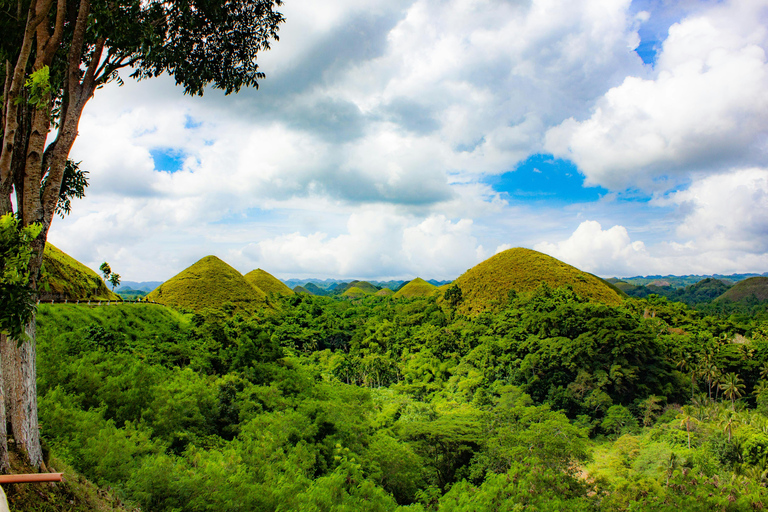 Bohol Countryside Day Tour z lunchem nad rzeką Loboc z Cebu