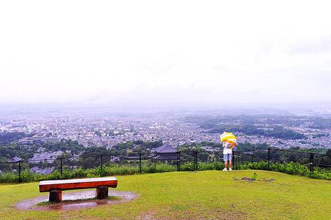 Nara: Hike Mt. Wakakusa and Encounter Wild Free-Roaming Deer