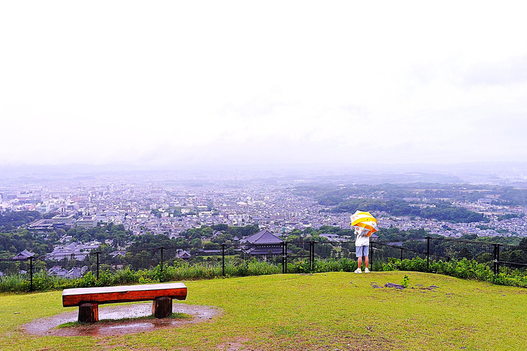 Nara: Hike Mt. Wakakusa and Encounter Wild Free-Roaming Deer