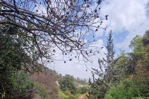 Tour privato a Troodos: cascata, villaggi e pranzo cipriotaTour privato a Troodos: cascata, villaggi e pranzo tipico cipriota