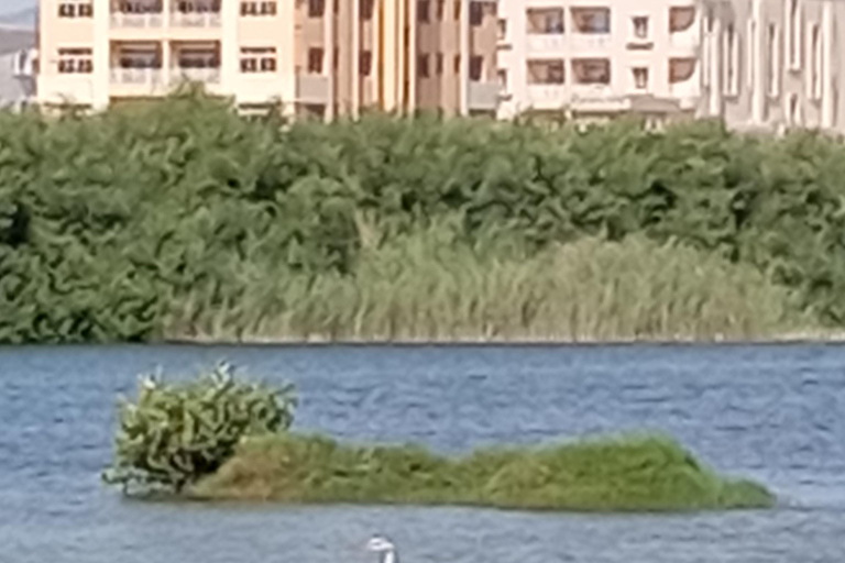 Dhofar: Salalah City and East Salalah Private Tour