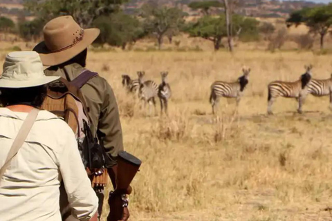 Mombasa: Safari de 6 días por Tsavo Oeste, Tsavo Este y Amboseli