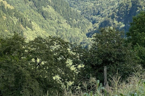 Georgia: Tbilisi, Batumi, and Kakheti Private Tour