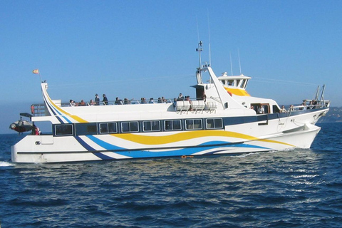 Depuis Denia ou Javea : Excursion en bateau à 3 caps avec plongée en apnéeDepuis Jávea