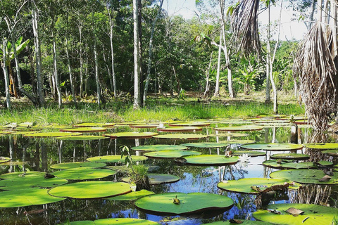 Amazonas 4 dagar 3 nätter