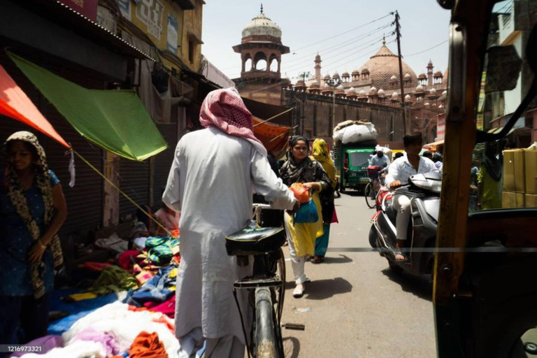 阿格拉艺术遗产之旅：徒步导览游阿格拉艺术遗产徒步之旅：专业导游陪同步行游览
