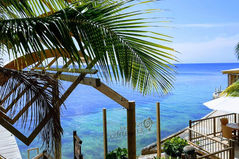 Islas Del Rosario, VIP Tour with Open Bar at Hotel Isla del Encanto