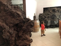 Desde São Filipe, Chã Das Caldeiras Village Tour - Housity