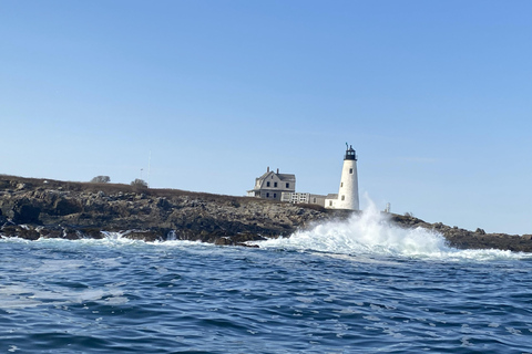 Coastal Maine Day Sail Experience - Public & Private Private 4-Hour Sail