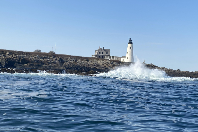 Coastal Maine Day Sail Experience - Public & Private Private 4-Hour Sail