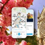 Parigi: tour di Notre-Dame con audioguida + opzione cripta archeologica