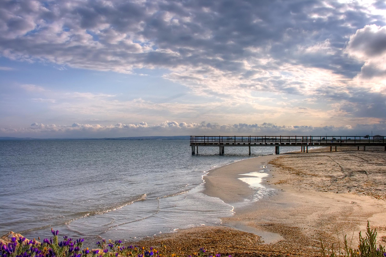 Salt Route and Birdwatching from Alicante to Santa Pola by Van