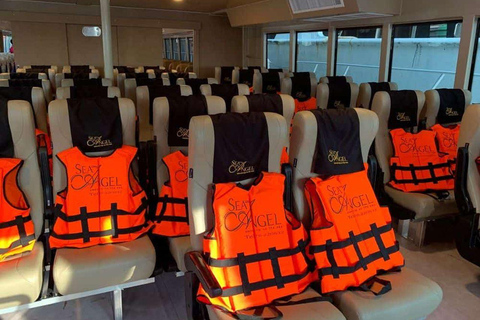 Phuket: Phi Phi Islands Day Tour by Ferry with Lunch Silver Seat