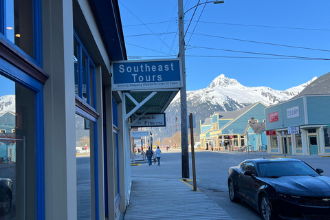Wycieczka po mieście i górach Skagway